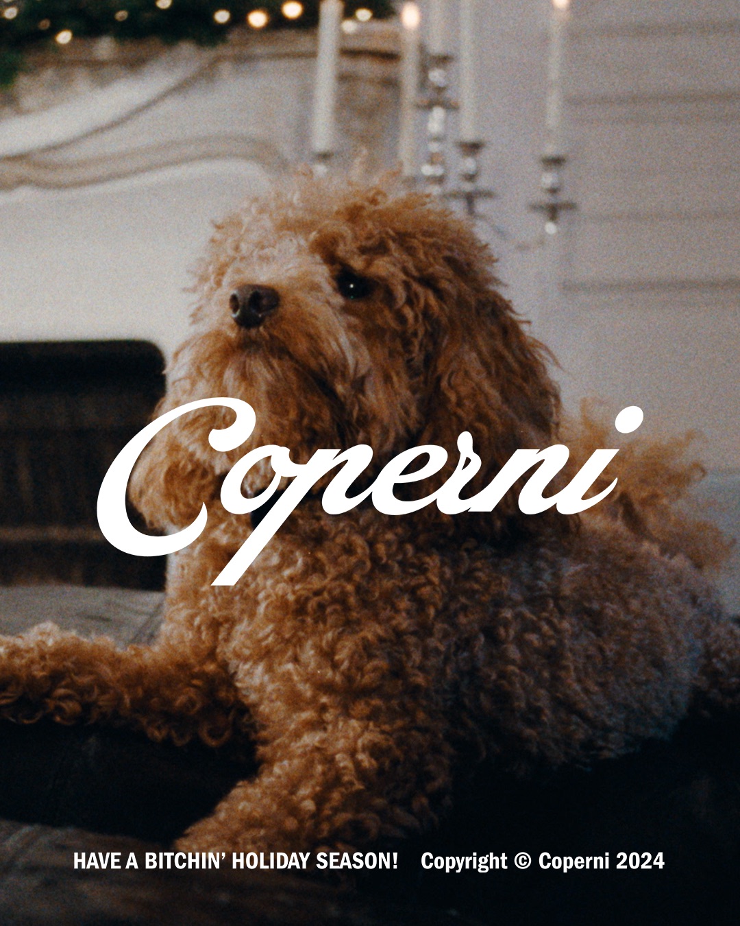 Paws and Presents: Coperni's Festive Doggo Debut