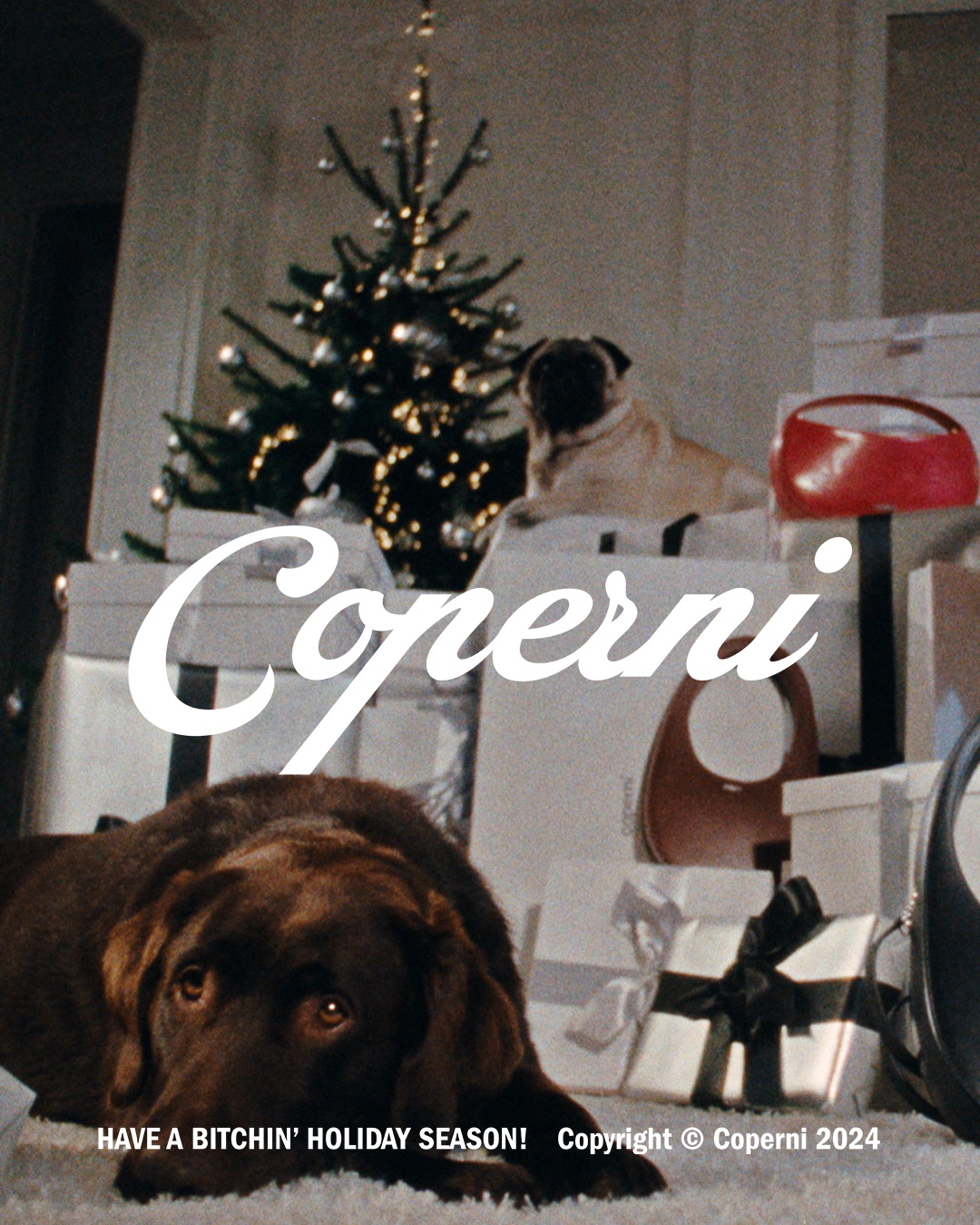 Paws and Presents: Coperni's Festive Doggo Debut