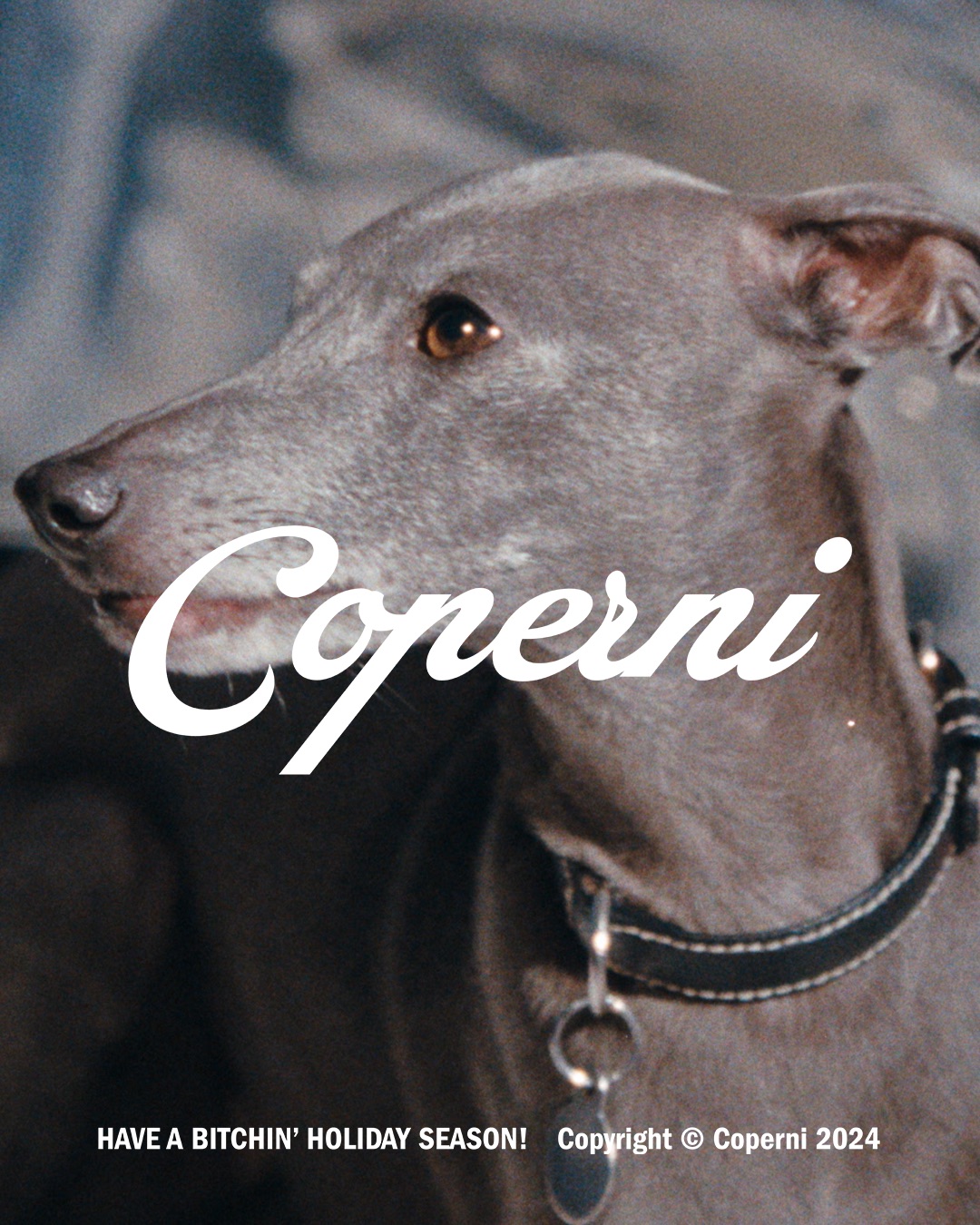 Paws and Presents: Coperni's Festive Doggo Debut