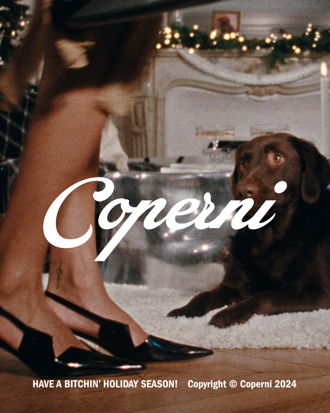 Paws and Presents: Coperni's Festive Doggo Debut