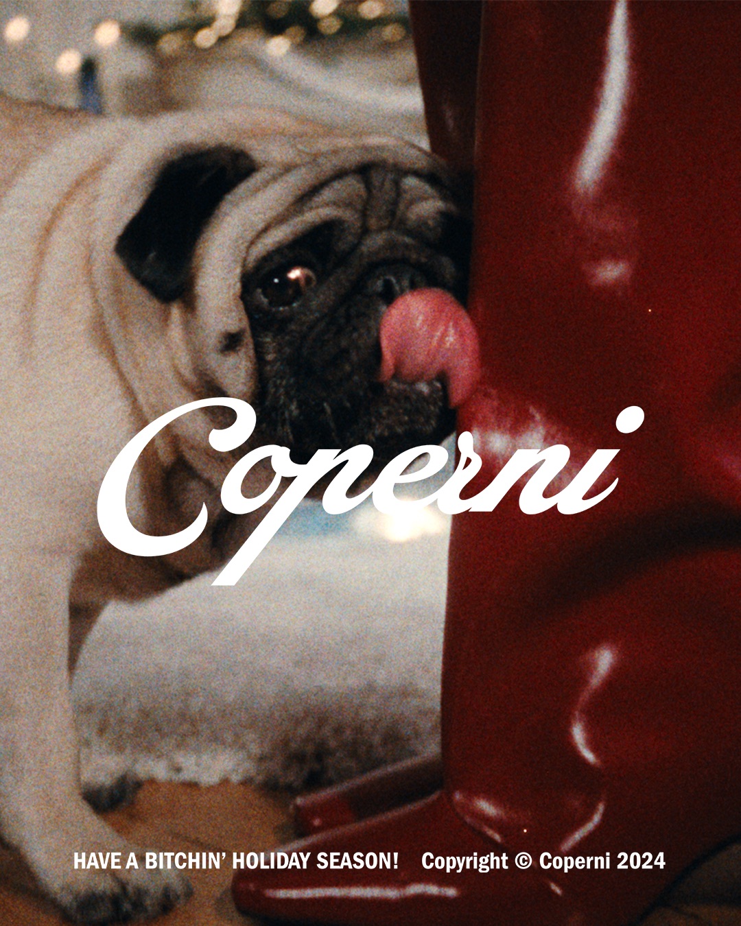 Paws and Presents: Coperni's Festive Doggo Debut