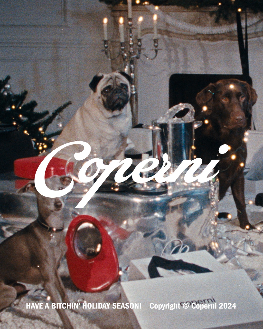 Paws and Presents: Coperni's Festive Doggo Debut