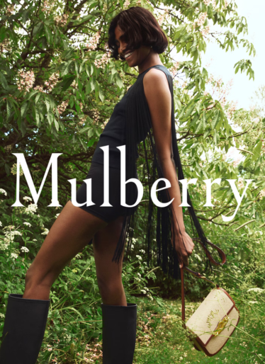 Mulberry