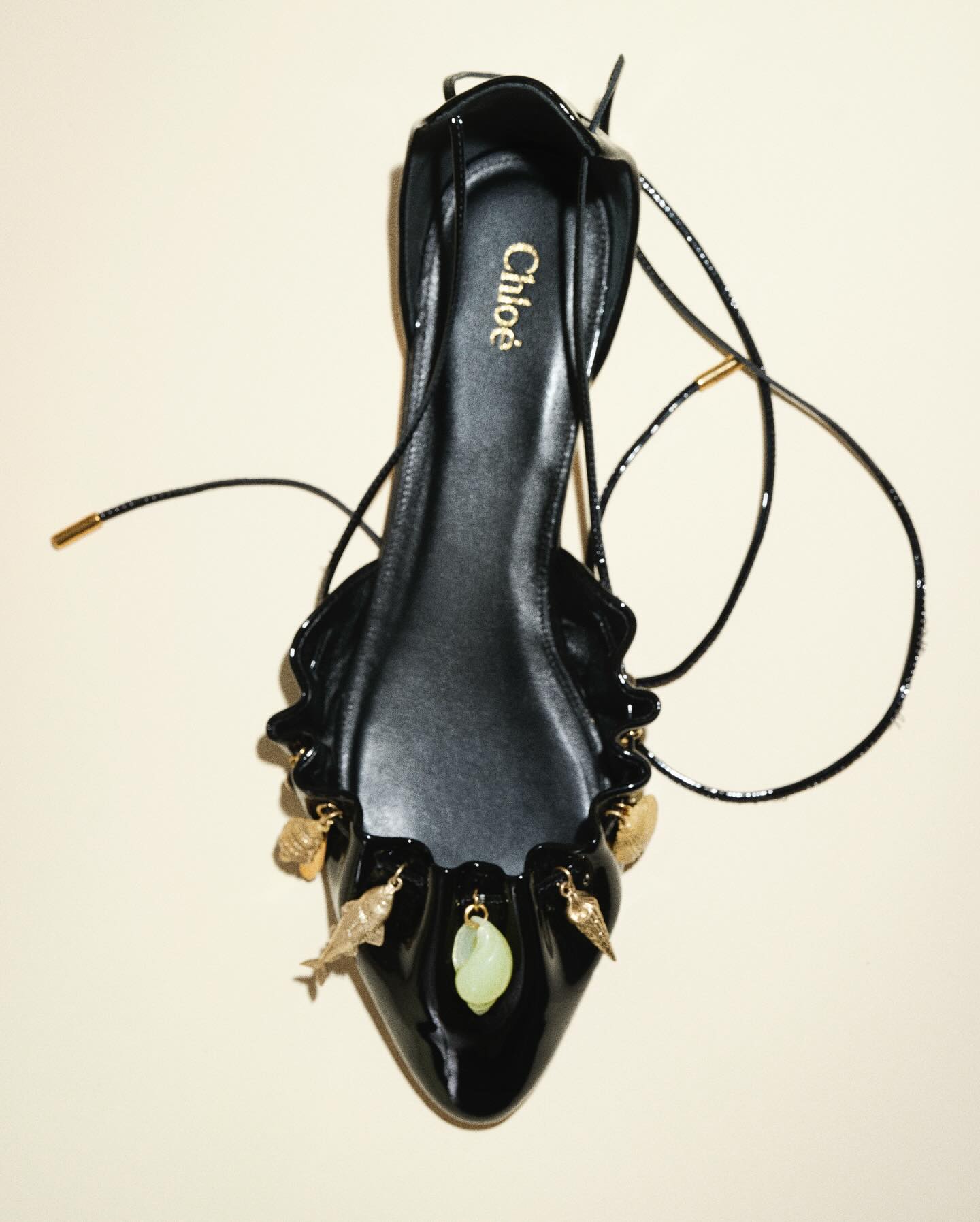 The Chloé Sea Treasures Ballerinas