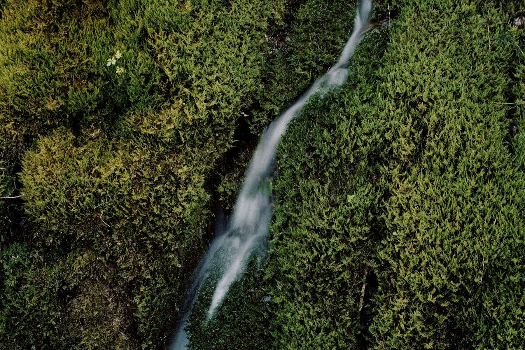 Kering Expands its Climate Initiative to Target Water Efficiency