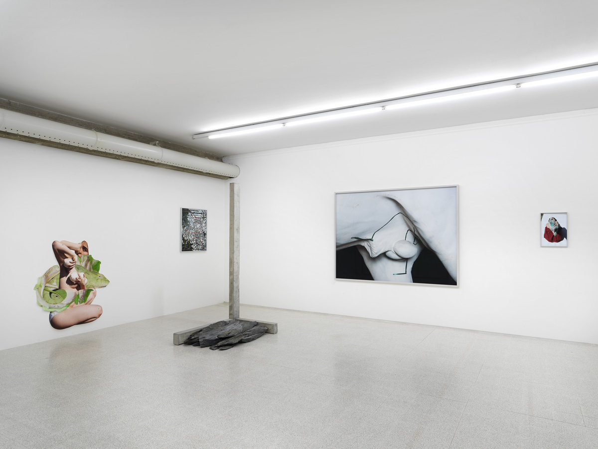 Viviane Sassen's 'This Body Made of Stardust' Exhibition | Courtesy of Collezione Maramotti