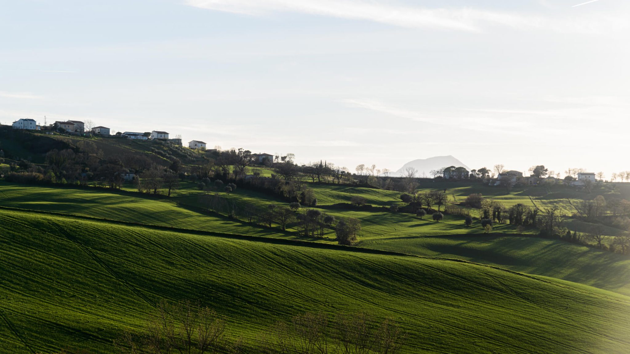Canali Launches 2025–2030 Sustainability Roadmap | Source: Canali