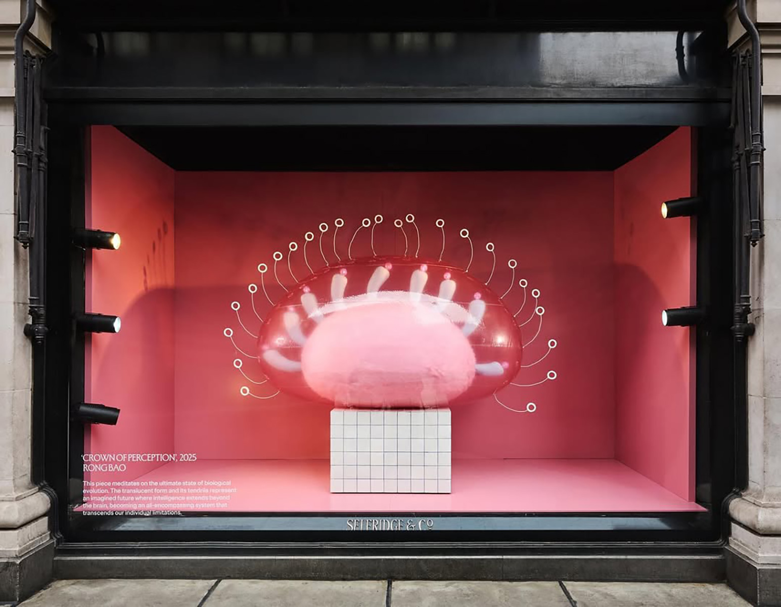 Selfridges’ “New Age” window display by 包蓉 @rongbaobaobao at Duke Street entrance | Source: Selfridges