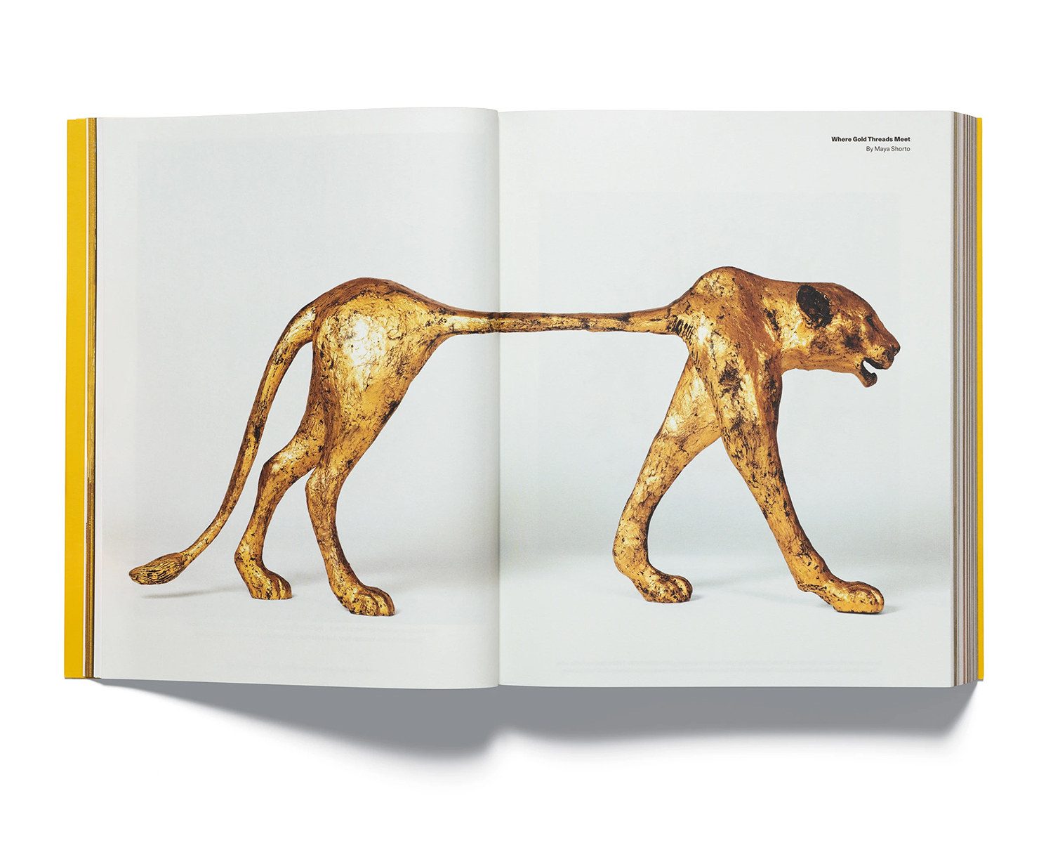 Where Gold Threads Meet. Portfolio and essay by Maya Shorto. Artwork by Harumi Klossowska de Rola. | Source: Acne Studios
