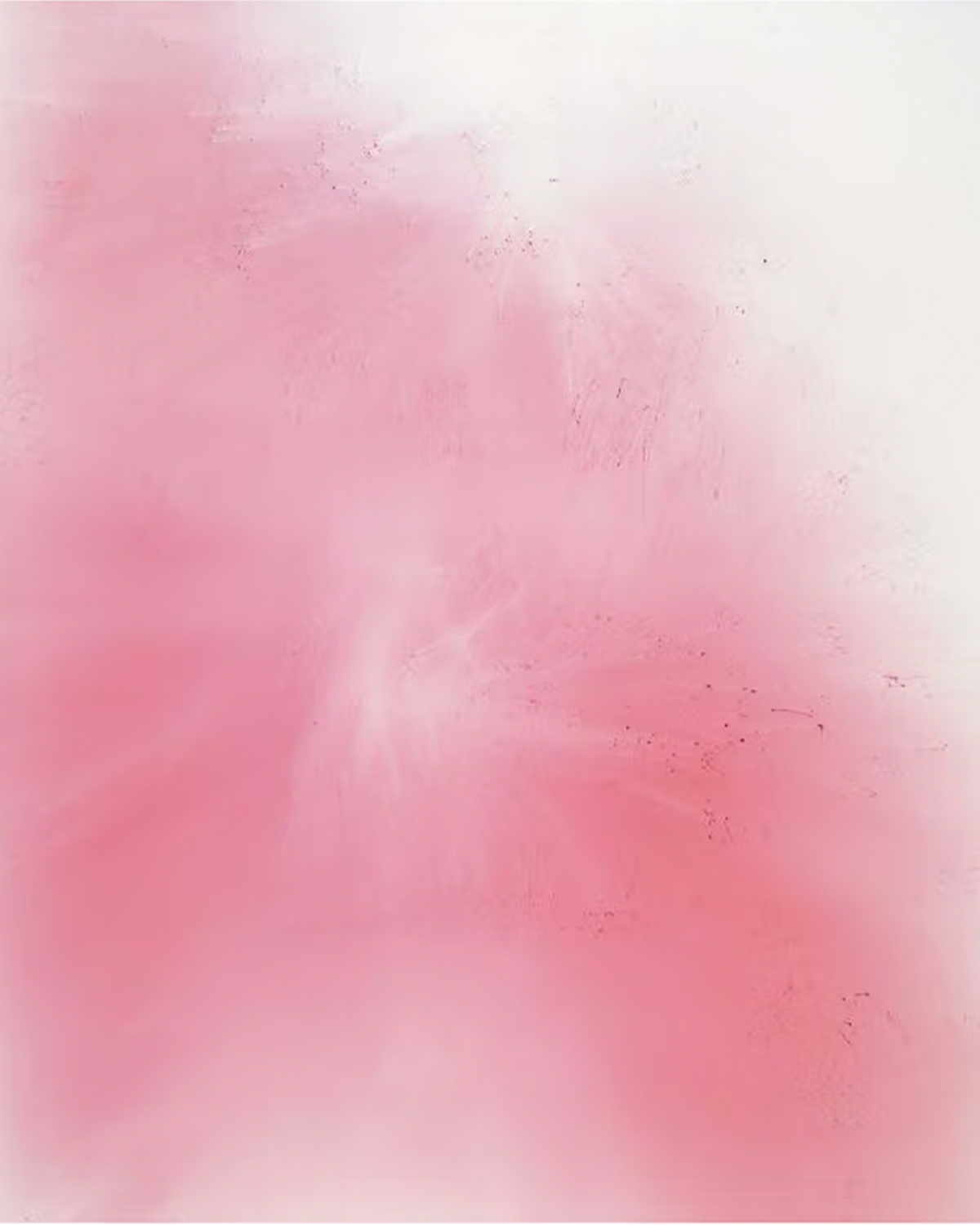 Blushes #3 (2000) by Wolfgang Tillmans | Source: Centre Pompidou