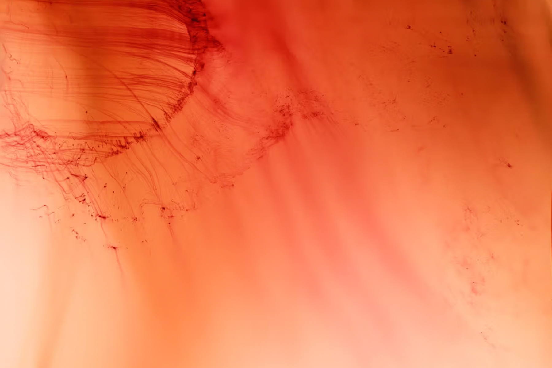Urgency XVIII (2006) by Wolfgang Tillmans | Source: Centre Pompidou